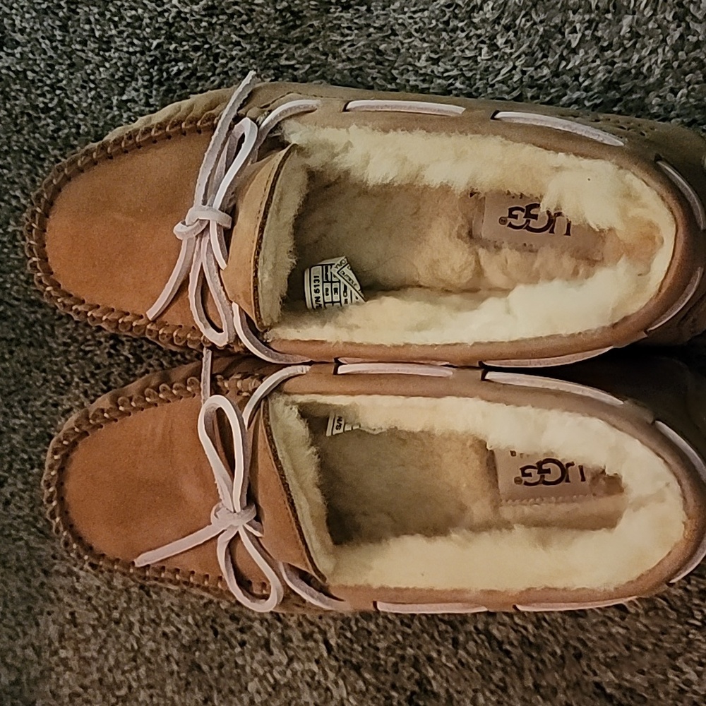 Uggs slip ons